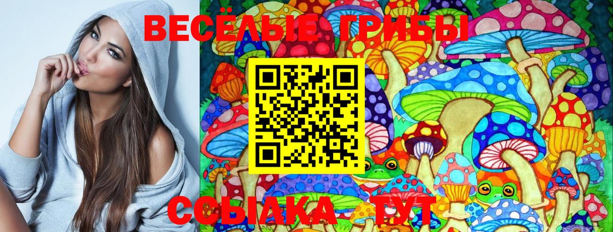 Псилоцибиновые грибы MAGIC MUSHROOMS  Вход с VPN  Мончегорск 